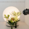 White Light Studio, Mietstudio in Köln Mülheim